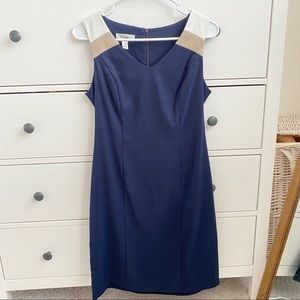 Dressbarn Navy Sheath Dress